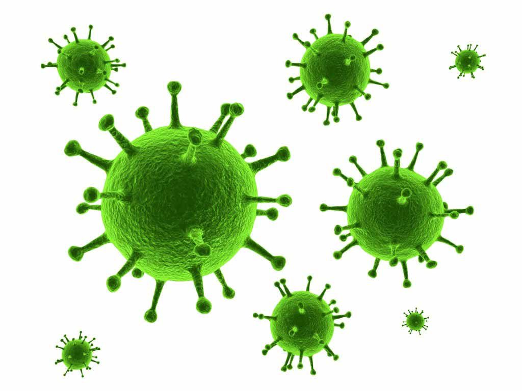 Los virus y su influencia en el desarrollo de una Anemia