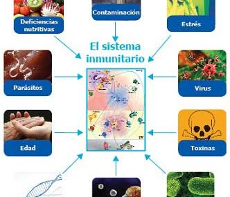 Factores Que Debilitan El Sistema Inmune Misistemainmune