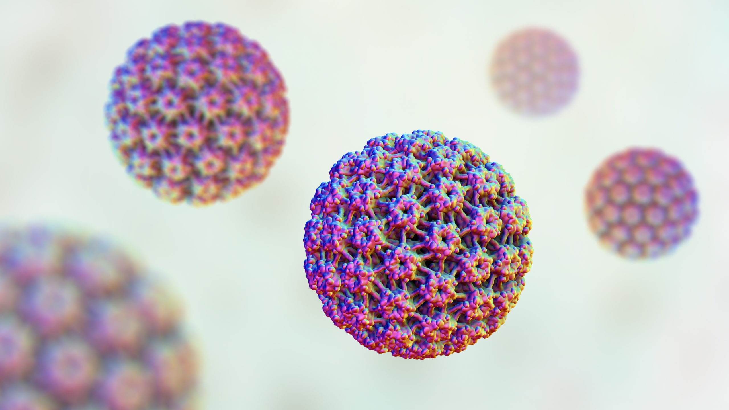 este condilom înfricoșător human papillomavirus hpv by pcr