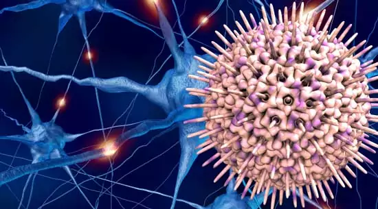 Reactivación del virus del herpes simple tipo 1 (HSV-1): ¿Riesgo de Alzheimer?