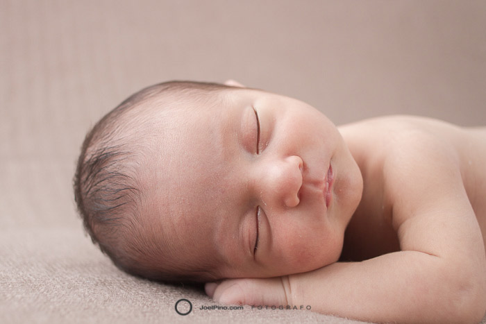 La microbiota del recién nacido y el desarrollo del sistema inmune La microbiota del recién nacido