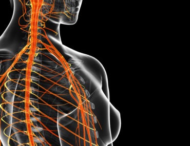 Sistema nervioso y sistema inmunitario: ¿una relación más estrecha de lo que pensábamos?