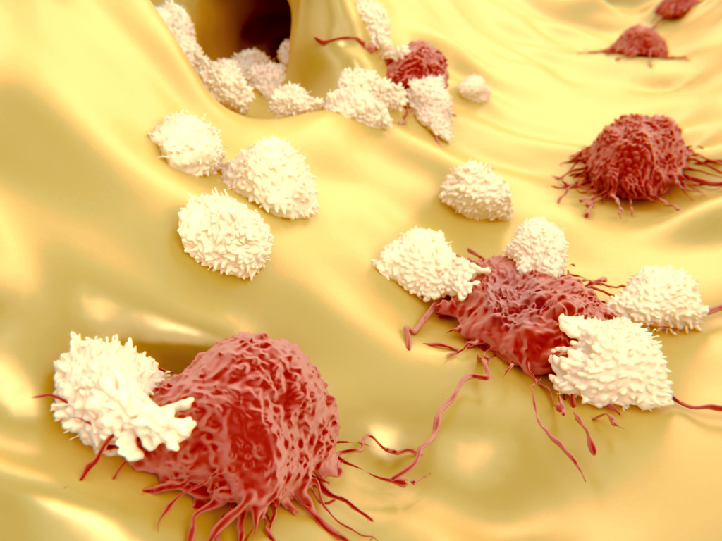 ¿Qué papel tiene el sistema inmune en el control del crecimiento tumoral?