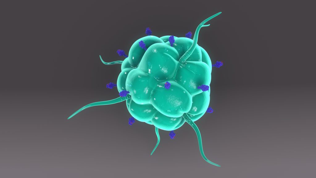 Macrófagos: ¿Aliados o enemigos del cáncer?