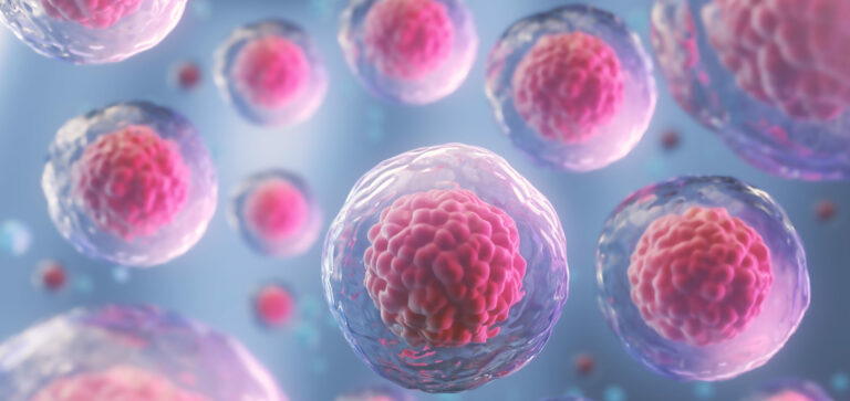 Inmunidad adaptativa celular y humoral
