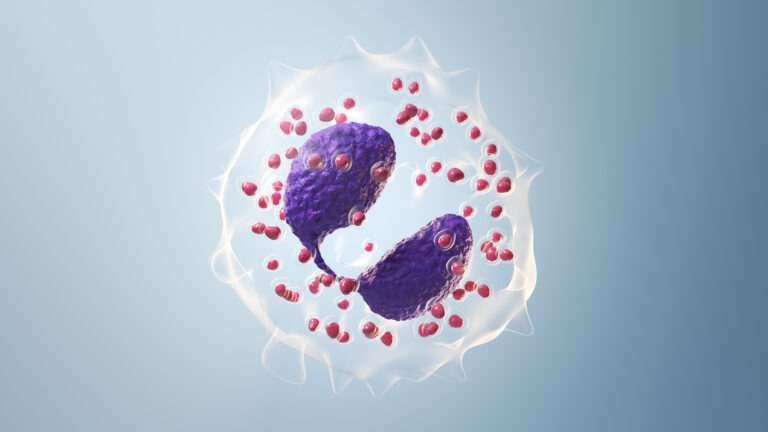 Eosinófilos