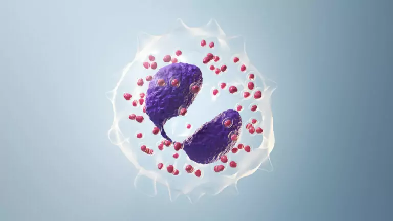Eosinófilos
