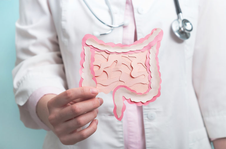 Doctor holding decorative model intestine. Gastroenterology, hea